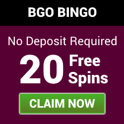Get 20 Free Spins at BGO Bingo