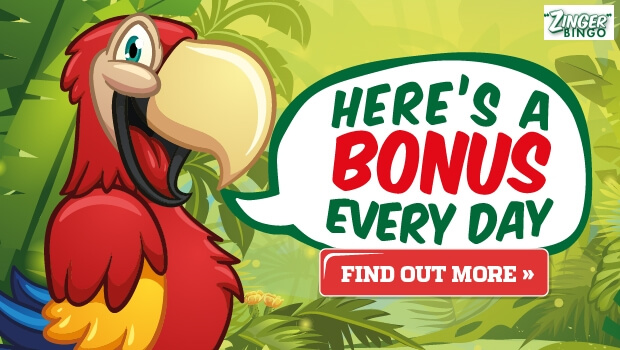 Zinger Bingo | Daily Free Bingo Bonus