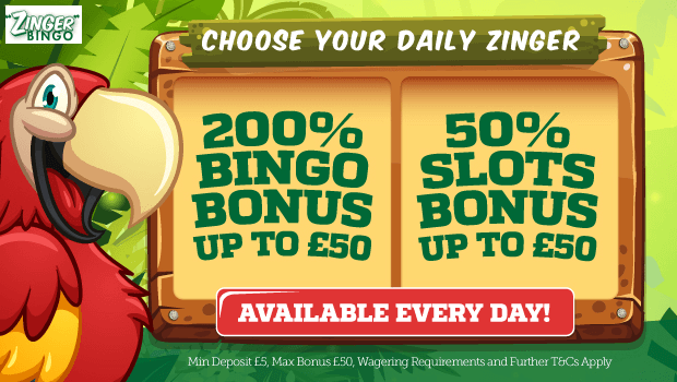 Zinger Bingo | Daily free bingo bonus