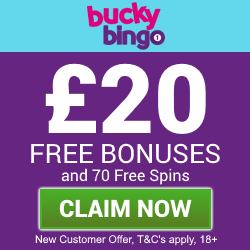 bucky-bingo-20-free-bingo-bonus-5-starbingo