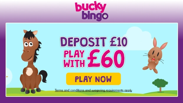 Bucky Bingo | Get £50 free bingo bonus