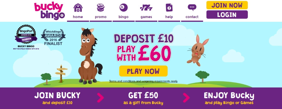 Bucky Bingo | Get £50 free bingo bonus
