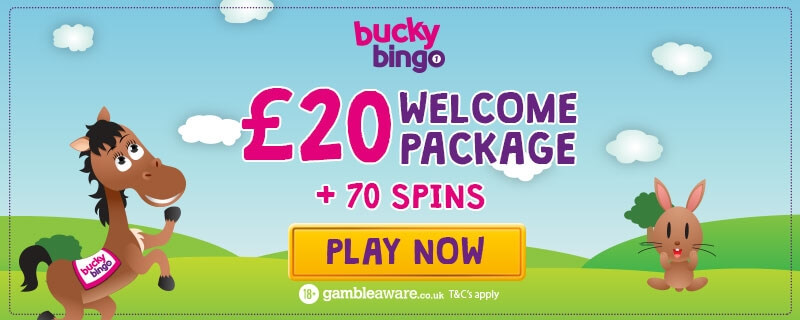 bucky-bingo-free-bonus-free-spins-5-starbingo