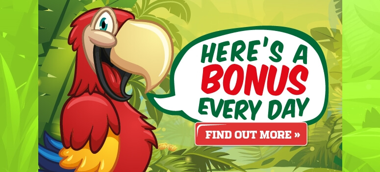 Zinger Bingo | Daily Free Bingo Bonus