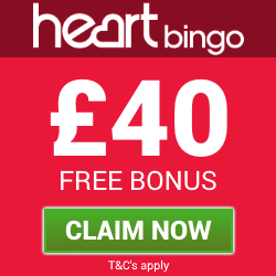 Bingo Bingo