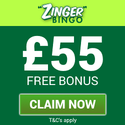 ZingerBingo | Free Bingo Bonus and Free Spins