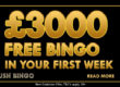 Plush Bingo | Free Bingo | No Deposit Bingo