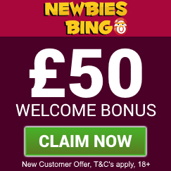 Newbies Bingo | Free Bingo Bonus