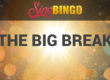 sing-bingo-the-big-break-5-starbingo